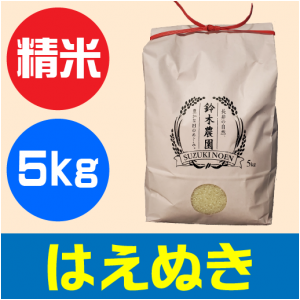 はえぬき　精米　5kg
