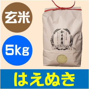 はえぬき　玄米　5kg