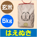 はえぬき　玄米　5kg